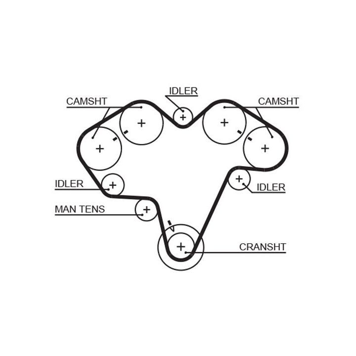 Paskirstymo diržas GATES 5475