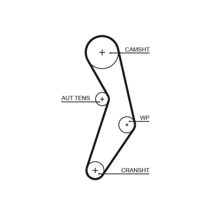 Paskirstymo diržas GATES 5503XS