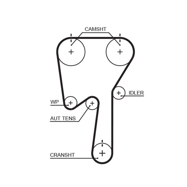 Paskirstymo diržas GATES 5509XS