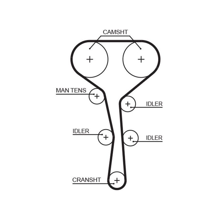 Paskirstymo diržas GATES 5532XS
