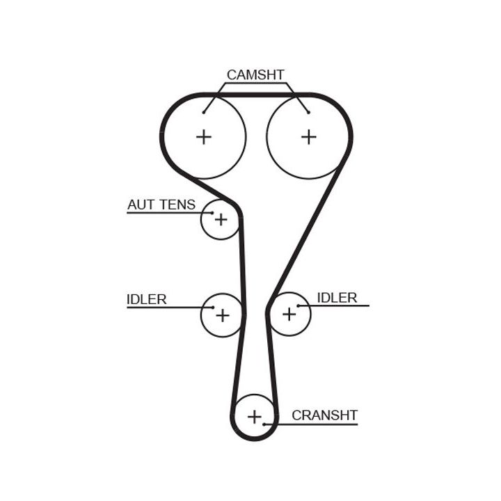 Paskirstymo diržas GATES 5551XS