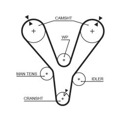 Paskirstymo diržas GATES 5555XS
