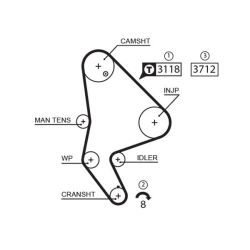 Paskirstymo diržas GATES 5558XS