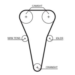 Paskirstymo diržas GATES 5567XS