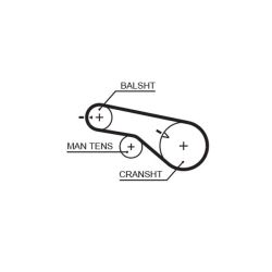 Paskirstymo diržas GATES 5570XS