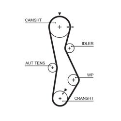 Paskirstymo diržas GATES 5579XS