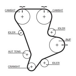 Paskirstymo diržas GATES 5583XS