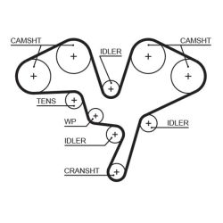 Paskirstymo diržas GATES 5602XS