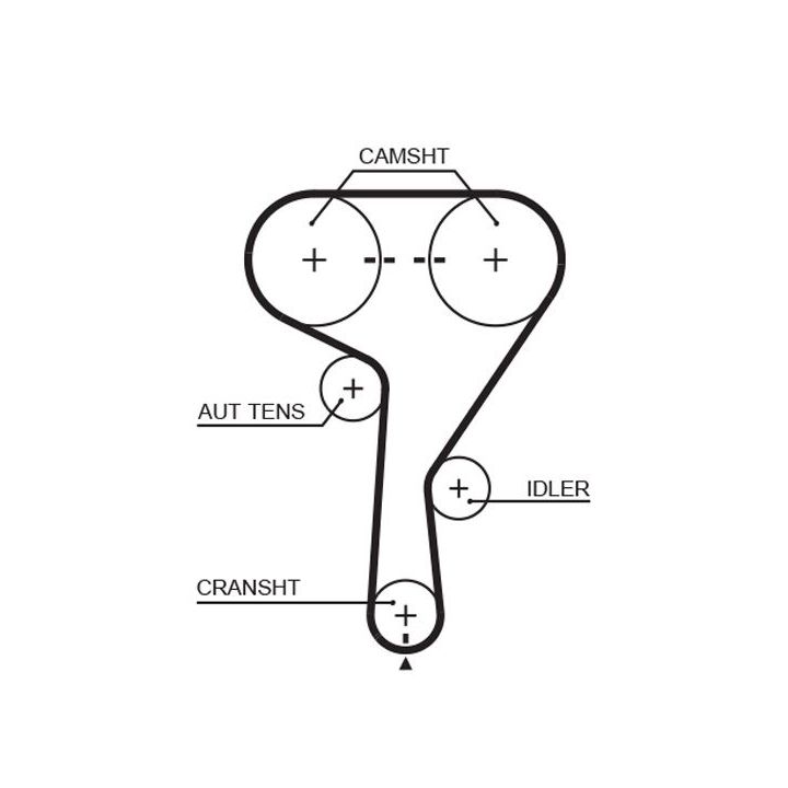 Paskirstymo diržas GATES 5603XS
