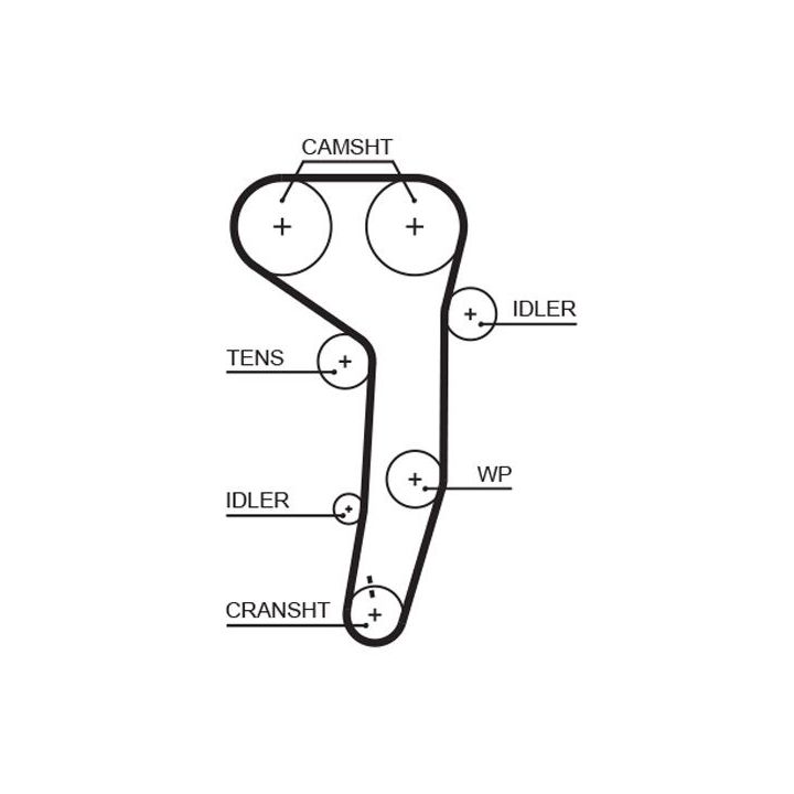 Paskirstymo diržas GATES 5607XS