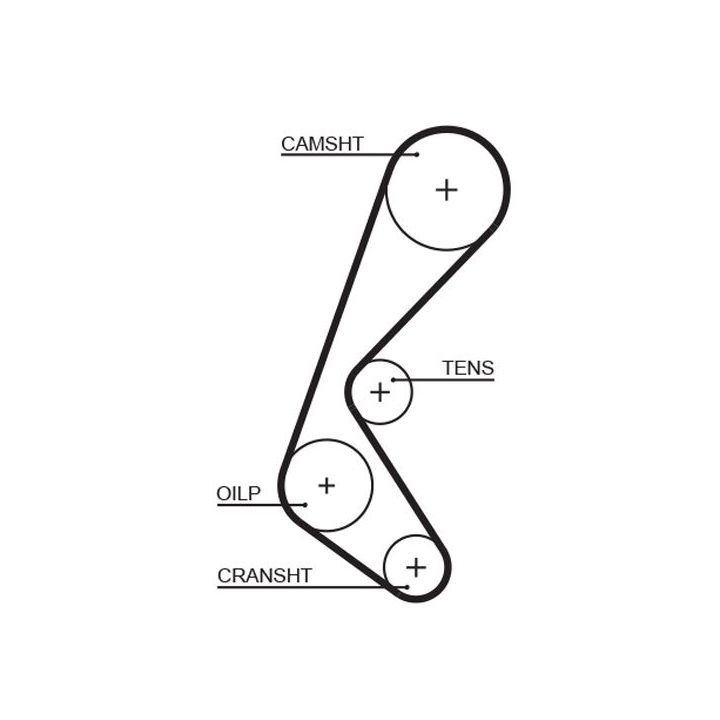 Paskirstymo diržas GATES 5628XS