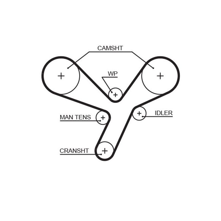 Paskirstymo diržas GATES 5643XS