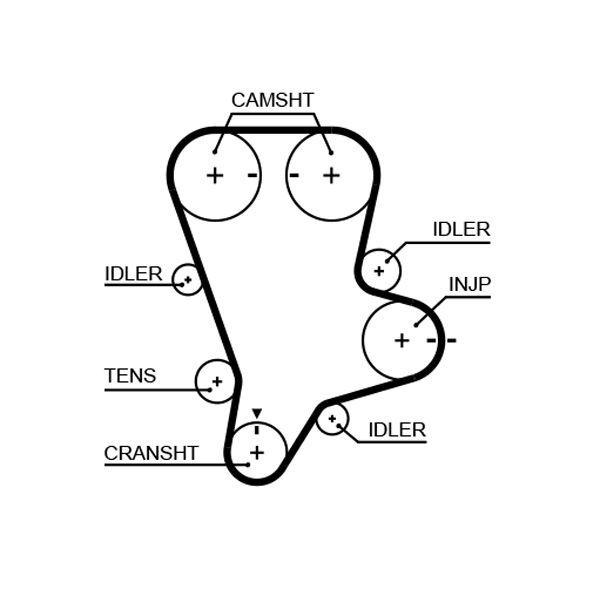 Paskirstymo diržas GATES 5644XS