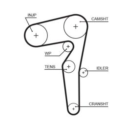 Paskirstymo diržas GATES 5646XS