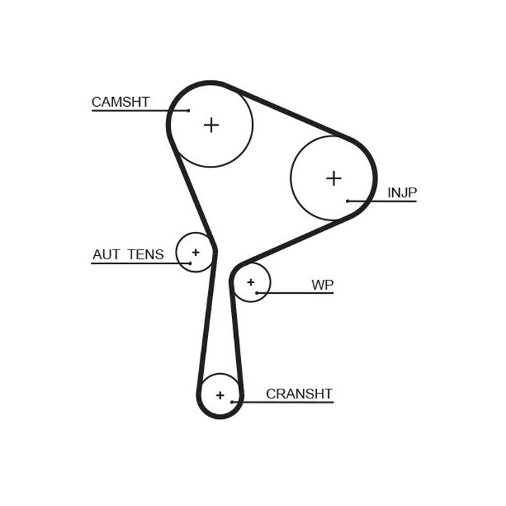 Paskirstymo diržas GATES 5654XS