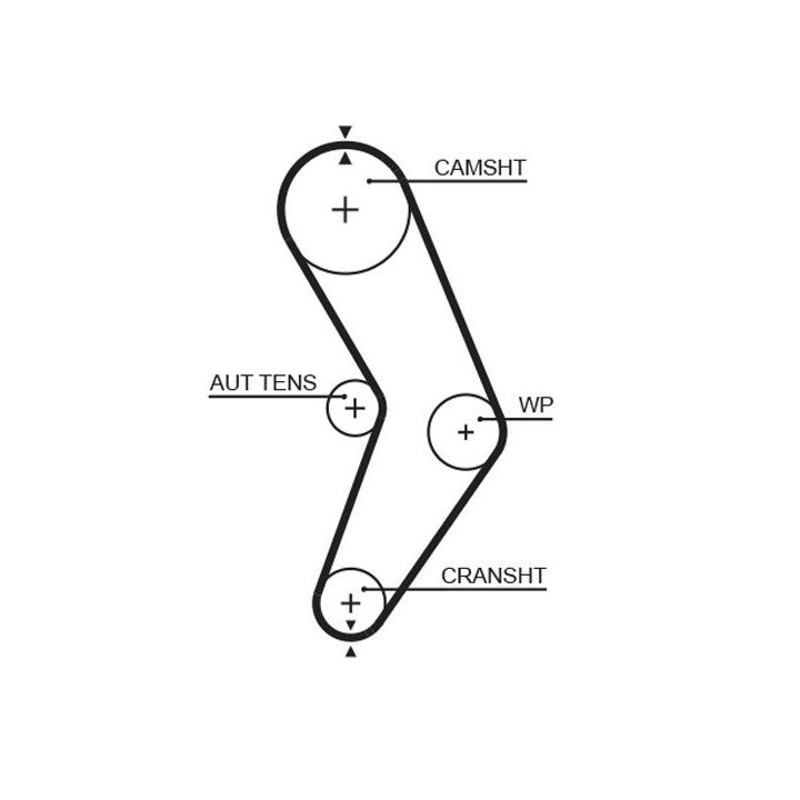 Paskirstymo diržas GATES 5662XS
