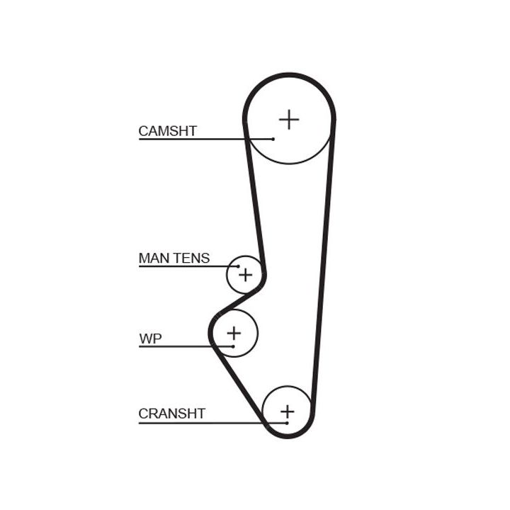 Paskirstymo diržas GATES T107RB
