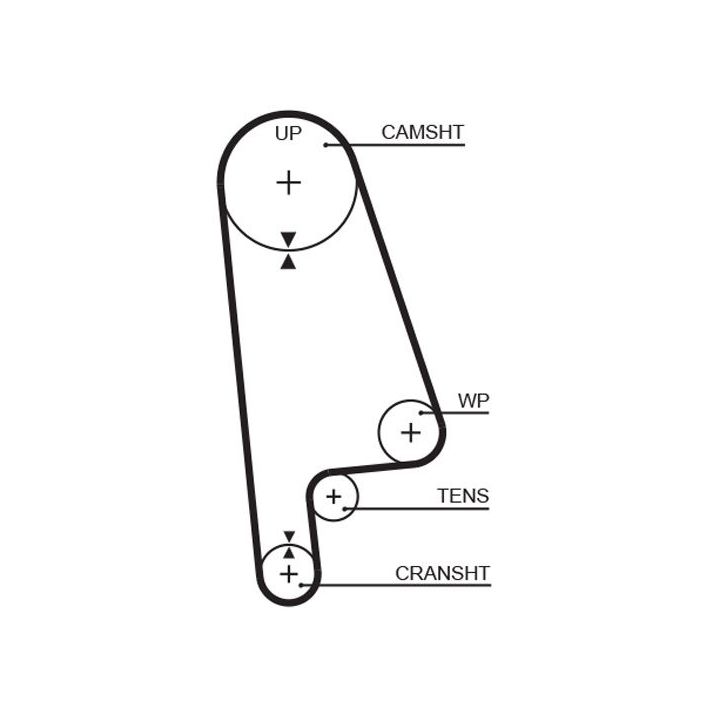 Paskirstymo diržas GATES T145RB