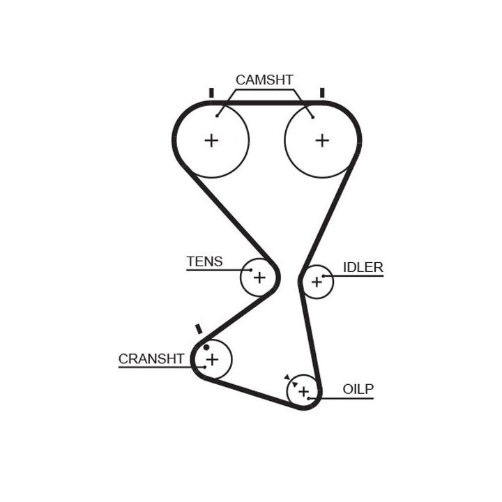 Paskirstymo diržo komplektas GATES K025556XS