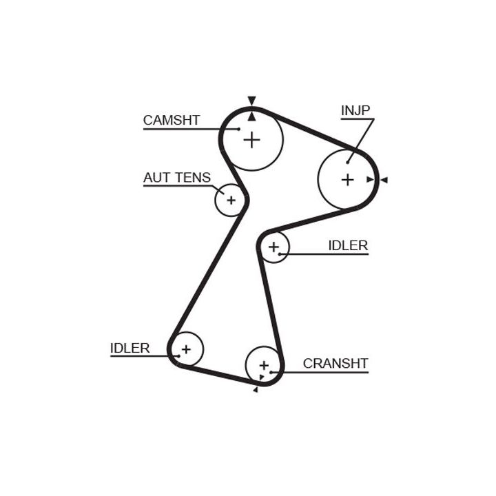 Paskirstymo diržo komplektas GATES K025561XS