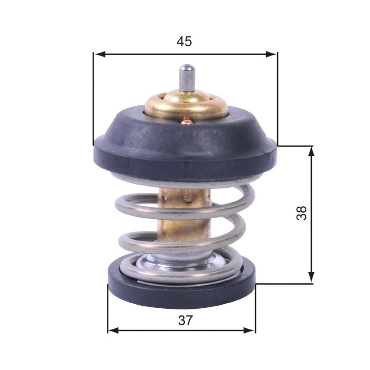 Termostatas, aušinimo skystis GATES TH42995G1