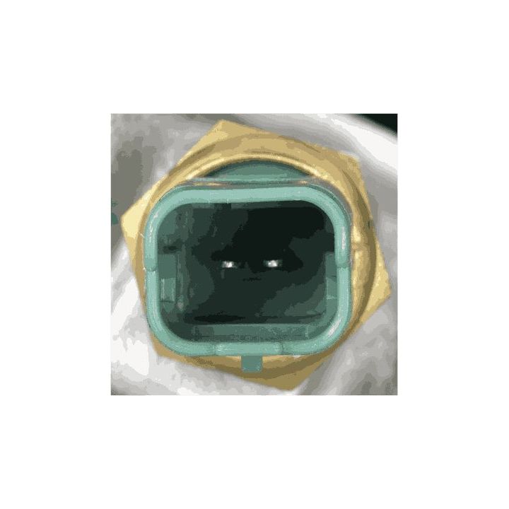 Termostatas, aušinimo skystis GATES TH63780G1