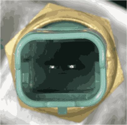 Termostatas, aušinimo skystis GATES TH63780G1