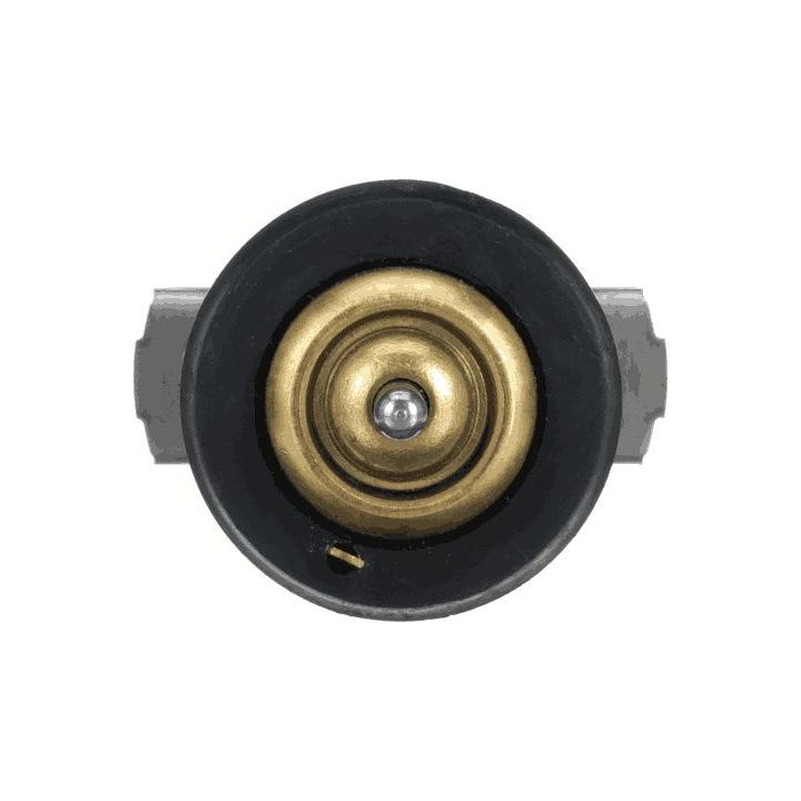 Termostatas, aušinimo skystis GATES TH63879G1