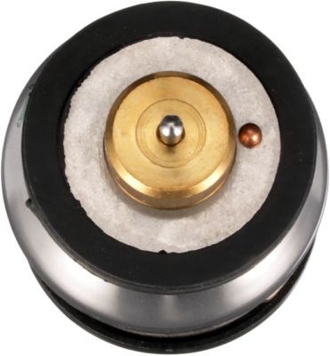 Termostatas, aušinimo skystis GATES TH64187G1