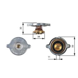 Radiatoriaus dangtelis GATES RC102