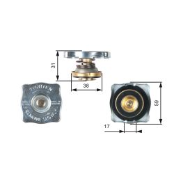 Radiatoriaus dangtelis GATES RC130