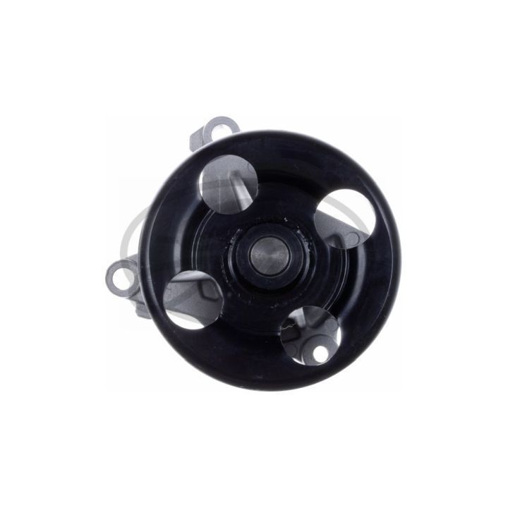 Vandens siurblys, variklio aušinimas GATES WP0196