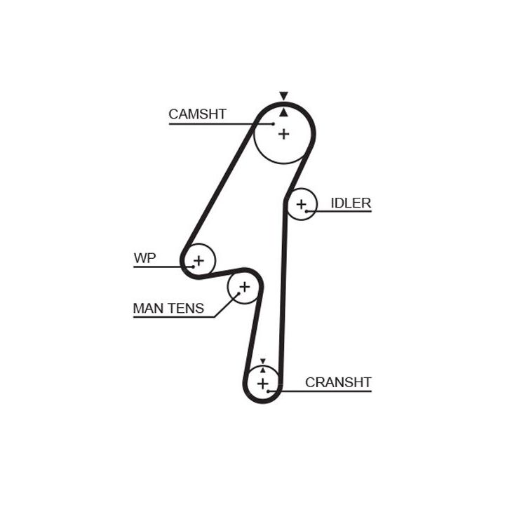 Vandens siurblio ir paskirstymo diržo komplektas GATES KP15580XS