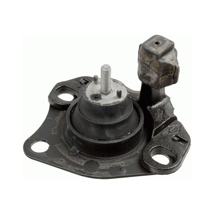 Variklio montavimas LEMFÖRDER 29513 01