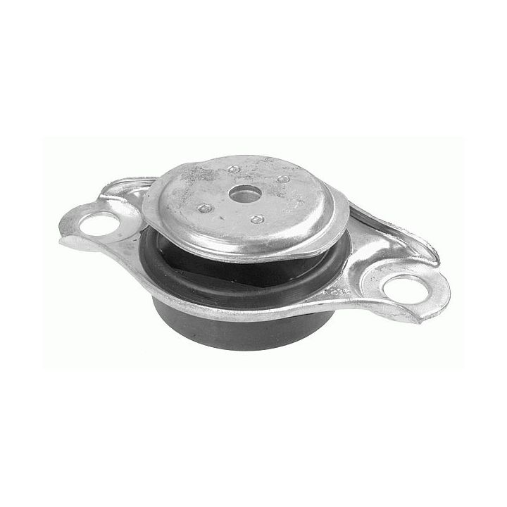 Variklio montavimas LEMFÖRDER 34451 01