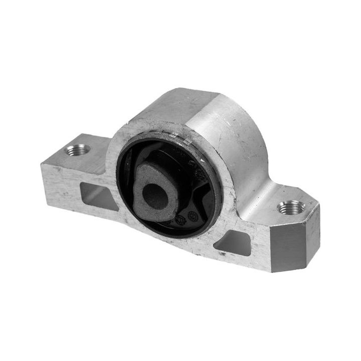 Variklio montavimas LEMFÖRDER 35568 01