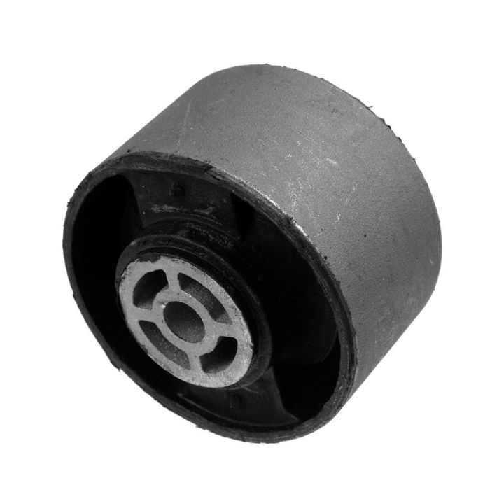 Variklio montavimas LEMFÖRDER 36317 01