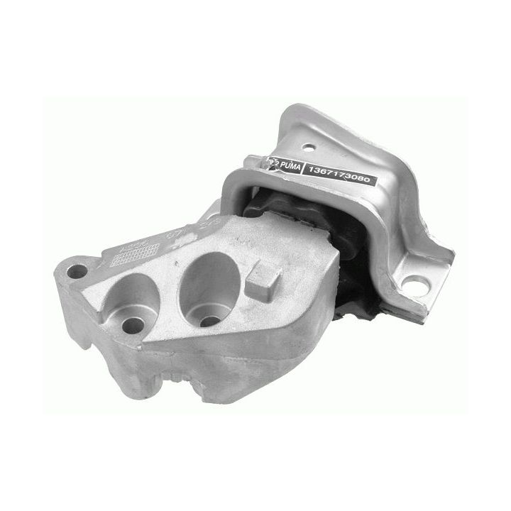 Variklio montavimas LEMFÖRDER 37007 01