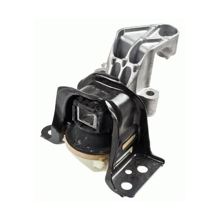 Variklio montavimas LEMFÖRDER 37496 01