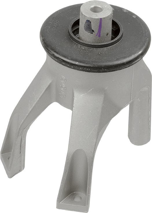 Variklio montavimas LEMFÖRDER 37659 01