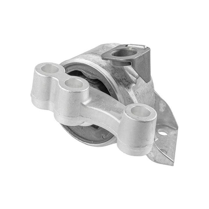 Variklio montavimas LEMFÖRDER 37687 01