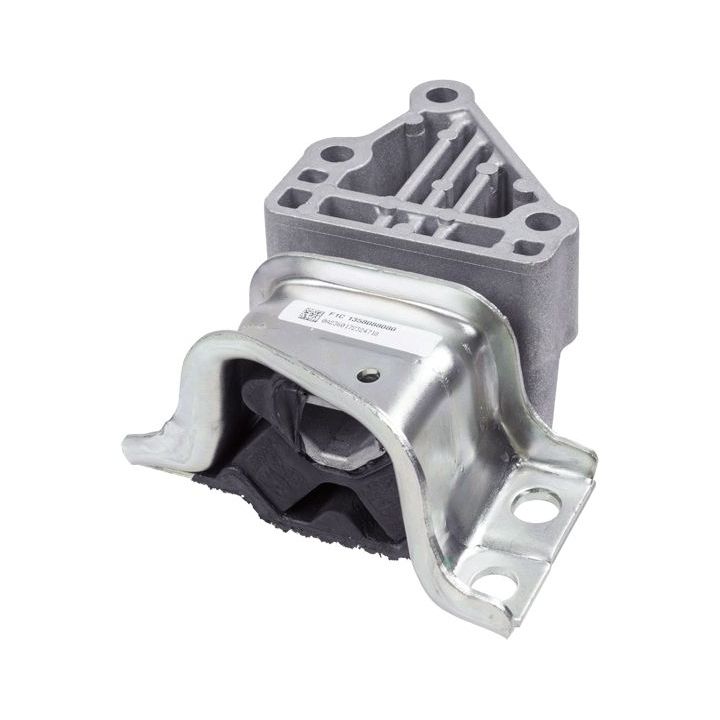 Variklio montavimas LEMFÖRDER 39479 01