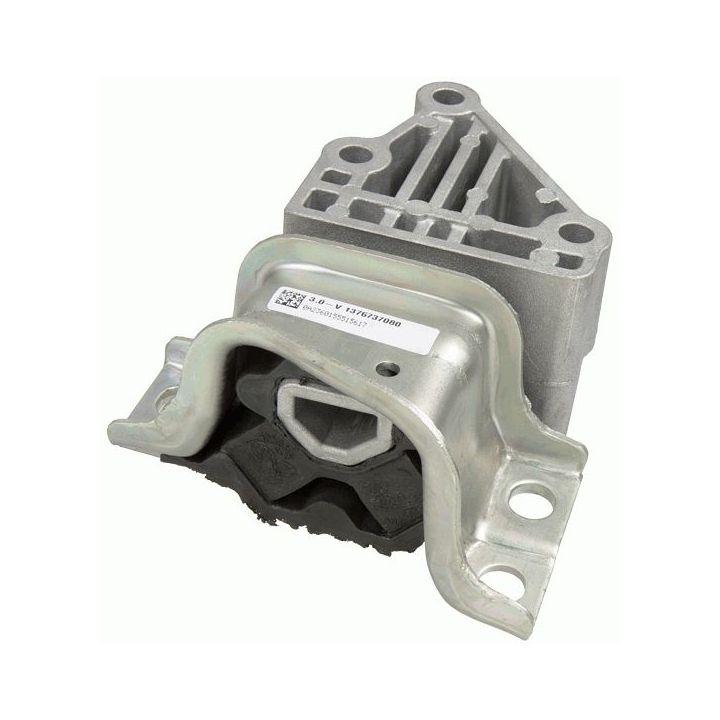 Variklio montavimas LEMFÖRDER 39484 01