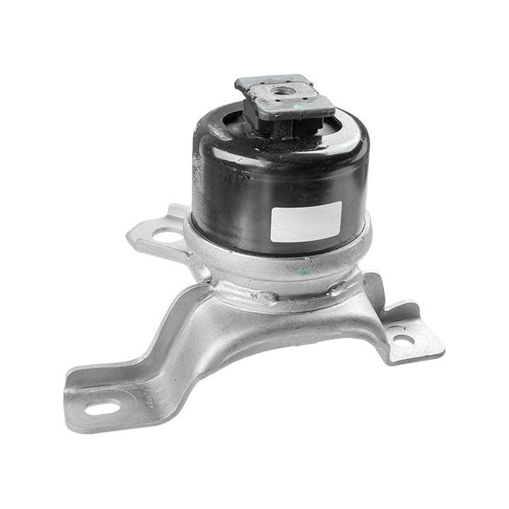 Variklio montavimas LEMFÖRDER 42074 01