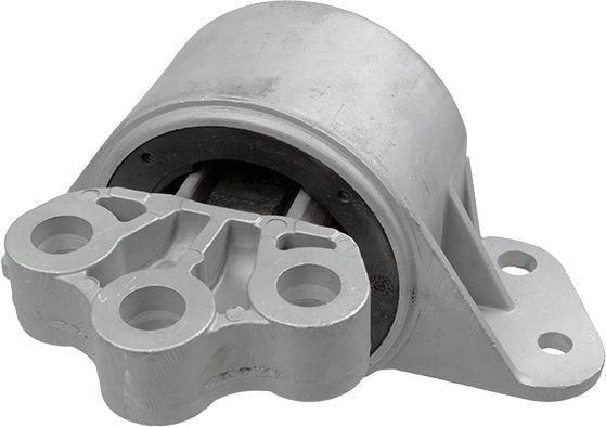 Variklio montavimas LEMFÖRDER 42116 01