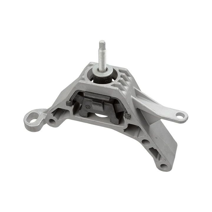 Variklio montavimas LEMFÖRDER 42117 01