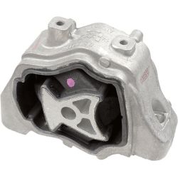 Variklio montavimas LEMFÖRDER 42118 01