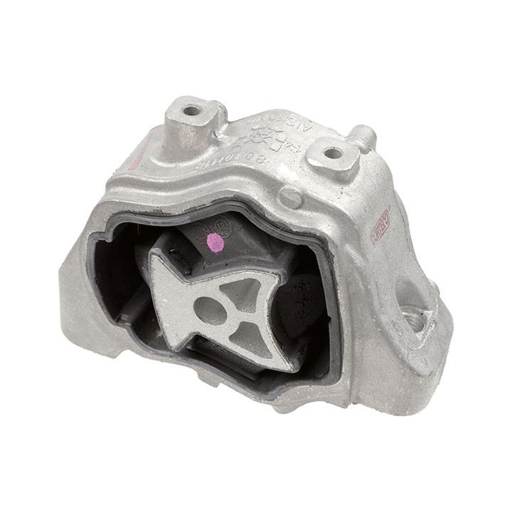 Variklio montavimas LEMFÖRDER 42118 01