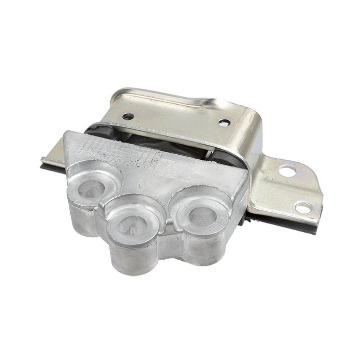 Variklio montavimas LEMFÖRDER 42446 01