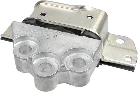 Variklio montavimas LEMFÖRDER 42446 01